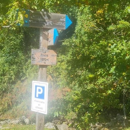 Alpeggio Pruno Villa Corfino Exteriör bild