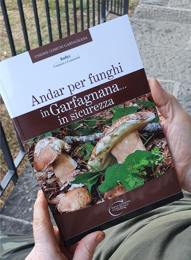 Alpeggio Pruno Villa Corfino Exteriör bild